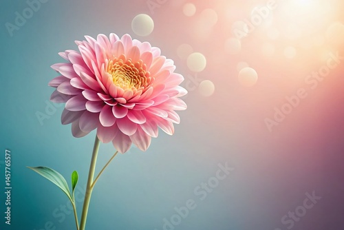 Minimalist Valentine's Day Flower Illustration, Modern Floral Design, Romantic Card Graphic