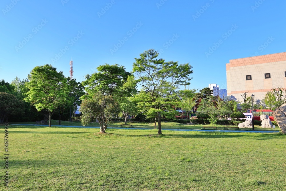 Naklejka premium 도심공원, 잔디와 나무