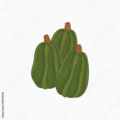 Kamo kamo vegetables flat design cartoon illustration