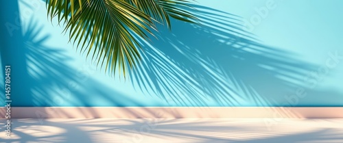 Palm leaf shadows cast on a blue wall, pastel floor Minimal tropical summer beach background,  image,  leaves