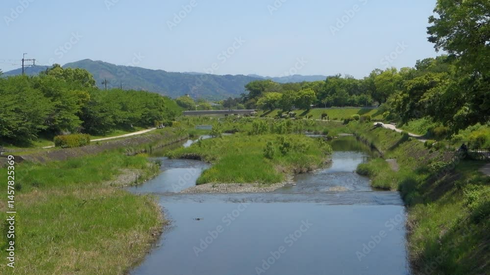 初夏の京都、鴨川の風景です 初夏の京都、鴨川の風景です