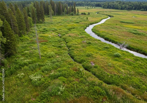Aerial View of a Serene River Winding Through a Lush Green Meadow