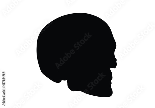 Skull silhouette. This image showcases a black silhouette of a skull, depicting its distinct bone structure and hollow eye sockets, symbolizing anatomy and mystery. Vector clipart illustration design.