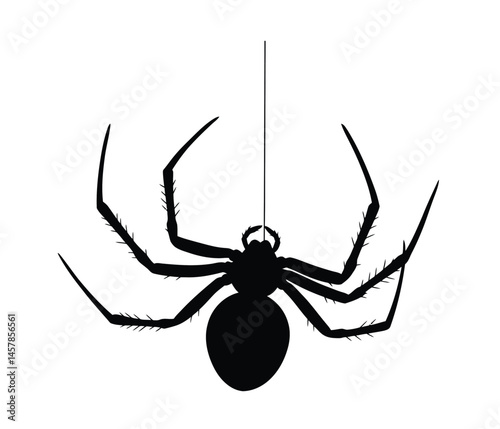 Hanging spider silhouette. A black silhouette image of a spider hanging from a web, representing an arachnid predator often associated with mystery and Halloween.  clipart illustration design.