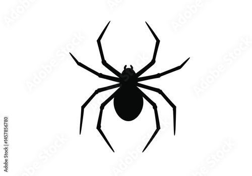 Halloween spider silhouette. This image showcases a black silhouette of a spider, emphasizing its distinctive legs and eerie presence, perfect for Halloween themes. Vector clipart illustration design.