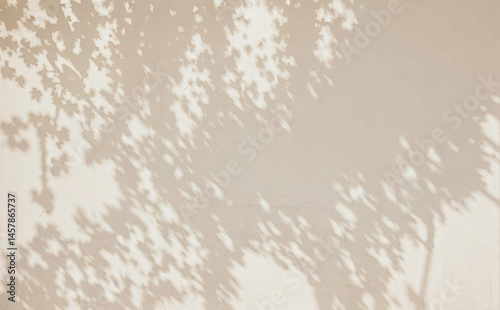 Tree shadows on a wall creating abstract patterns in beige and white. Premium background designs for wallpaper, banners and posters.