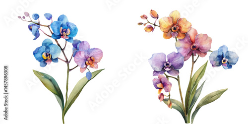 cute orchid watercolor vector illustration