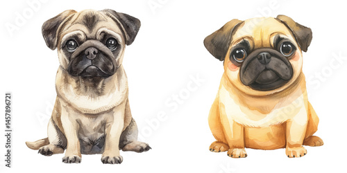 cute pug watercolor vector illustration