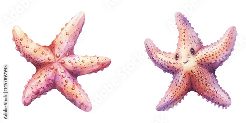 cute starfish watercolor vector illustration