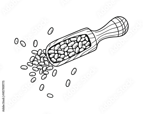 Hand drawn scoop of seeds on a white surface background art