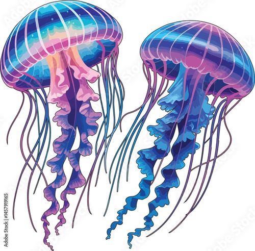 Cute jellyfish Vector