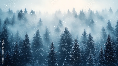 Icy evergreen fforest high resolutioniImage