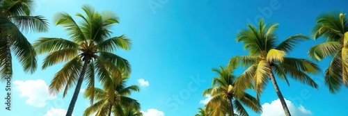 Wallpaper Mural Lush palm trees sway under vibrant blue Miami sky , picture, asset, blue Torontodigital.ca