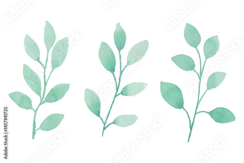 Assortment of watercolor leaves illustration set - green leaf branches collection for wedding, greetings, stationary, wallpapers, fashion, background. olive, green leaves, Eucalyptus etc
