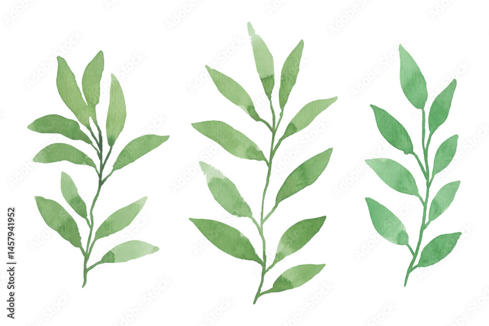 Obraz premium Assortment of watercolor leaves illustration set - green leaf branches collection for wedding, greetings, stationary, wallpapers, fashion, background. olive, green leaves, Eucalyptus etc