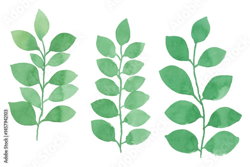 Assortment of watercolor leaves illustration set - green leaf branches collection for wedding, greetings, stationary, wallpapers, fashion, background. olive, green leaves, Eucalyptus etc