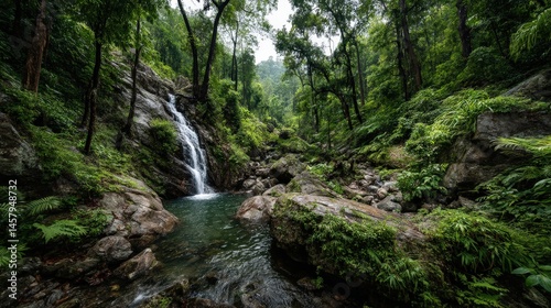 Secret Waterfall in Dense Jungle Surrounded by Lush Vegetation