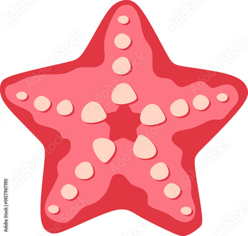 Starfish Illustration