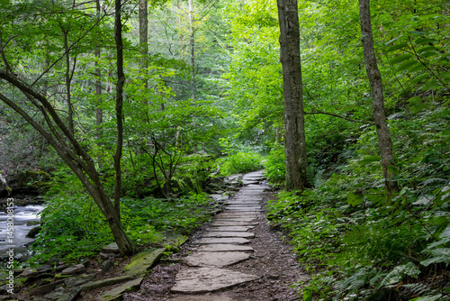 Εκτύπωση καμβά Scenic hiking trail in lush green Ricketts Glen state park, Pennsylvania