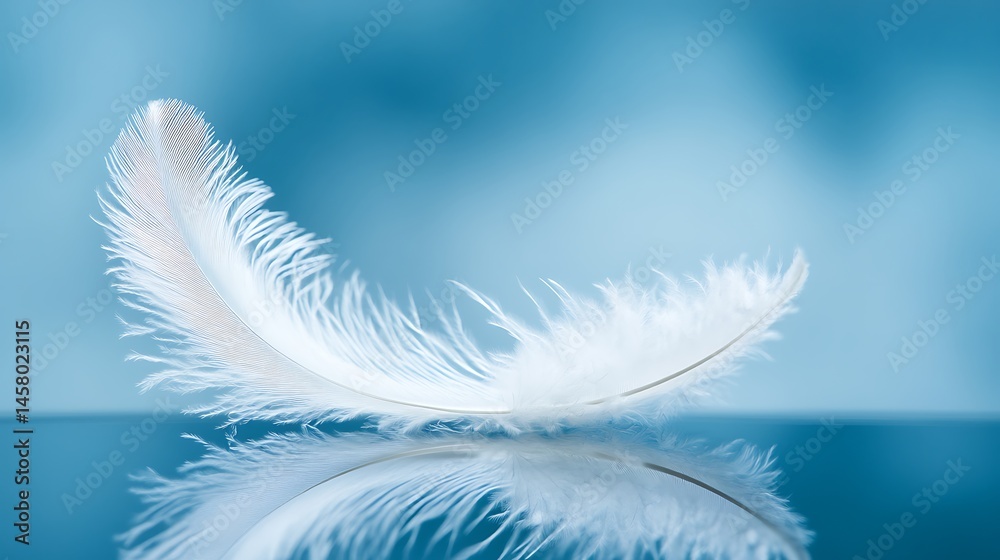 Fototapeta premium Aesthetically Pleasing White Feather Against Gentle Blue Backdrop Reflective Surface