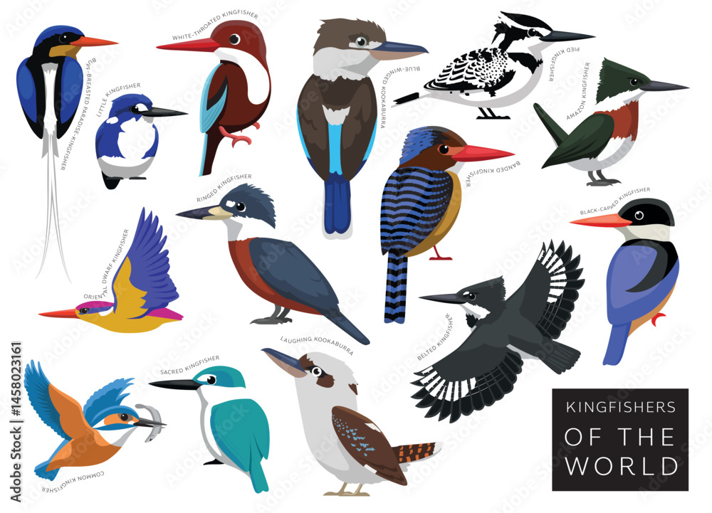 Obraz premium Birds Kingfishers of the World Set Cartoon Vector Character
