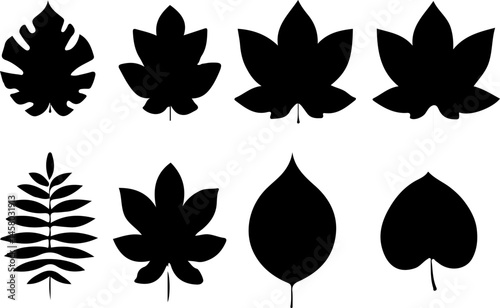 set of leaves