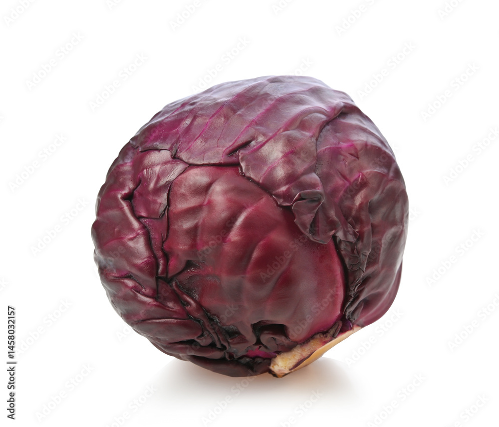 cabbage isolated on white background cabbage isolated on white background
