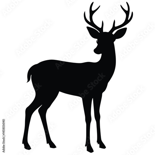 deer vector illustration