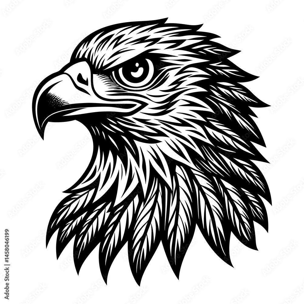 Fototapeta premium Eagle head silhouette image