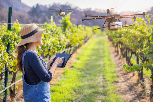 Fotografie Smart vineyard system with winegrower control drone