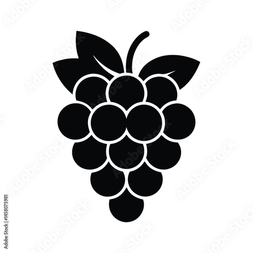 grapes bunch icon vector illustration
