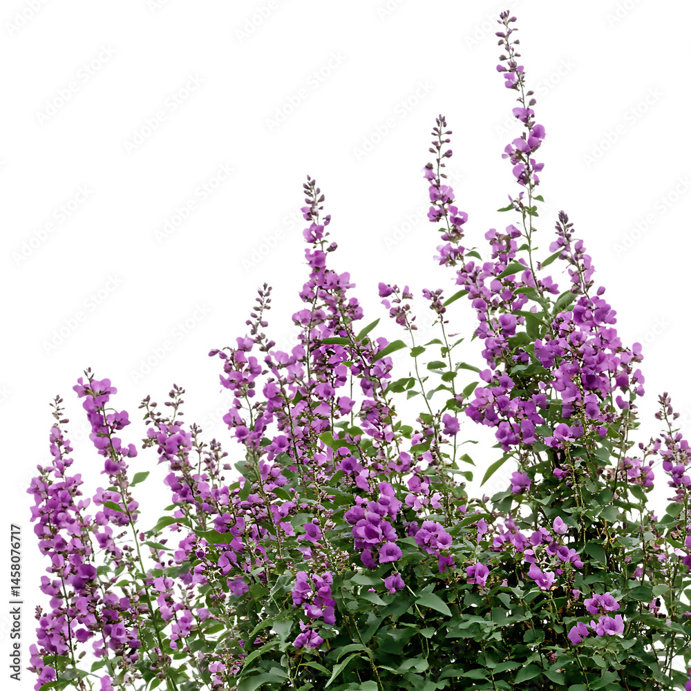 Obraz premium eal purple flower bushes