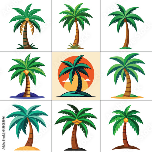 coconut tree illustration