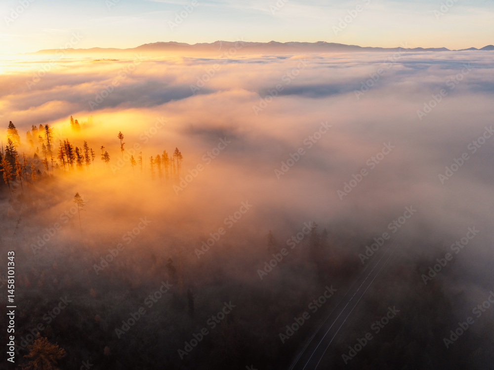Sunset over Liptov region with and High Tatras mountains around. Misty view of tree tops with the rays of morning light.