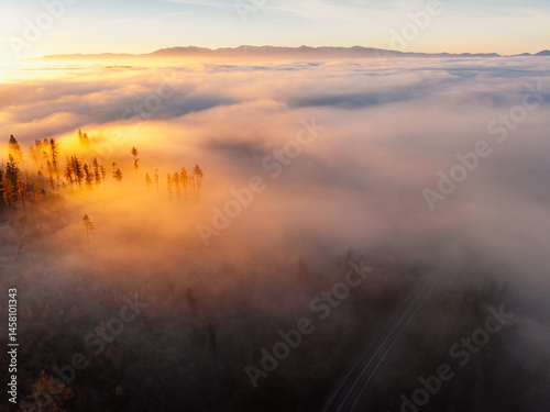 Sunset over Liptov region with and High Tatras mountains around. Misty view of tree tops with the rays of morning light.