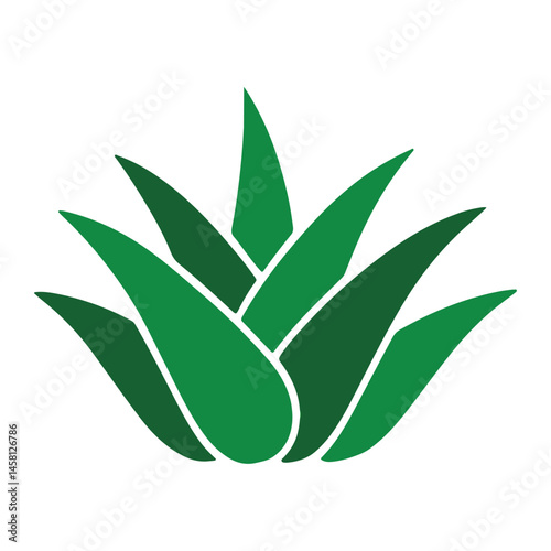 flat vector agave plant Cinco de Mayo day, happy Cinco de Mayo festival clipart, 5th May Cinco de Mayo celebrate design sublimation 
