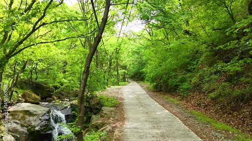 Valley for Summer Vacation ,Slow Motion ,Clear Stream flowing over rocks and rocks ,Rich Valley in slow motion ,Crystal clear water spills over rocks ,Silent natural scene ,Silent flowing riverbed