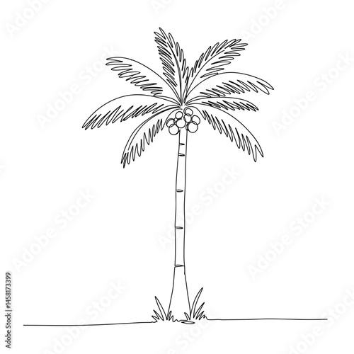 Simple palm tree illustration, black line art illustration on transparent background for logo design, packaging, tattoos, and minimalist decor