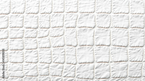 crocodile alligator skin white texture closeup shot gator croc skin macro texture pattern background