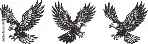 Majestic eagles in flight powerful wings spread wide black and white silhouette vector illustration
