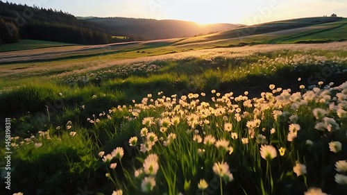Shimmering meadow filled with glowing clover shamrocks gently swaying in the breeze during early evening