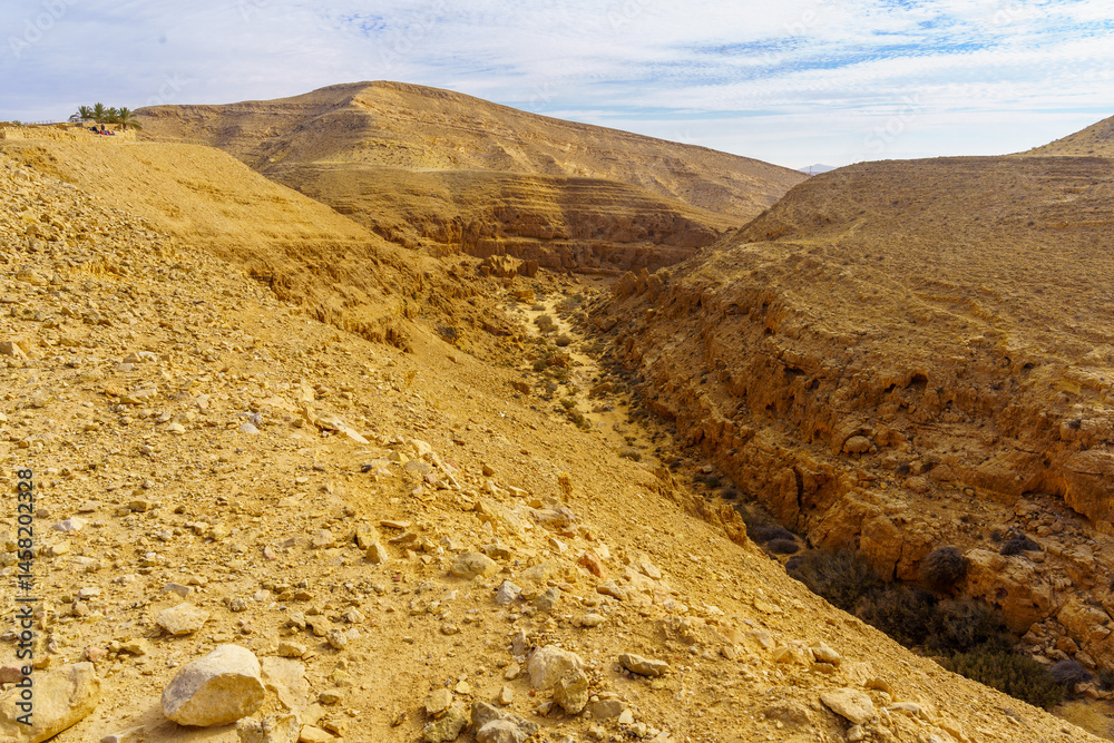 Mamshit Stream and the ancient city, Negev Desert