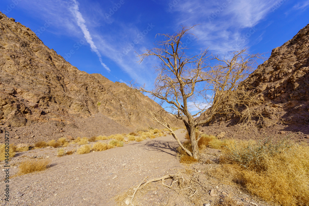 Shlomo Valley landscape in Eilat desert mountains