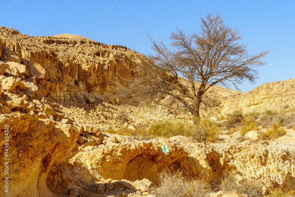 Seifim Valley landscape in Eilat desert mountains