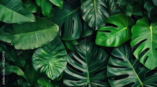 Wallpaper Mural Lush Tropical Leaves: A Deep Green Botanical Composition Torontodigital.ca