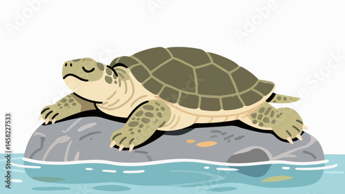 Animal pattern, animal vector pattern
