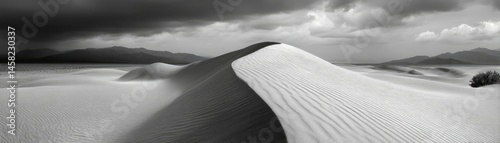 Obraz na płótnie Panorama sand storm with dark clouds above arid dunes concept. A serene black and white desert landscape with dramatic dunes. w salonie
