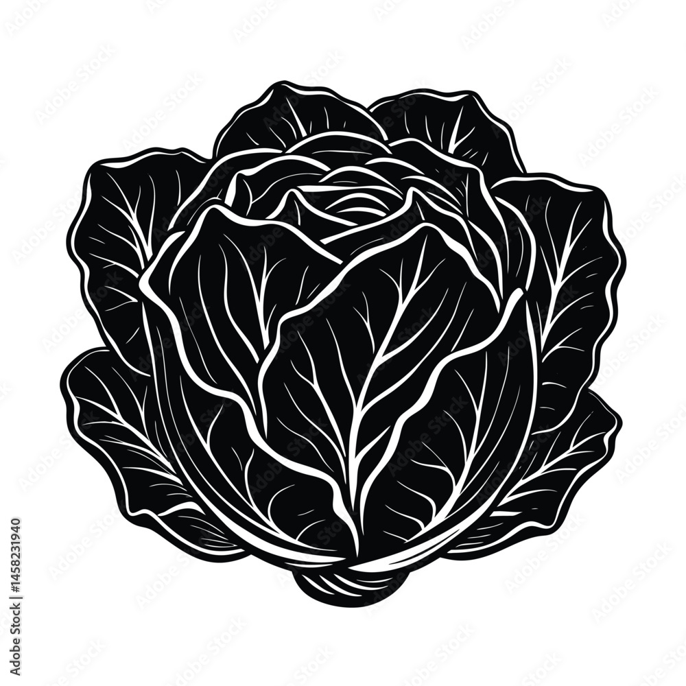 Obraz premium a bunch cabbage vector art silhouette
