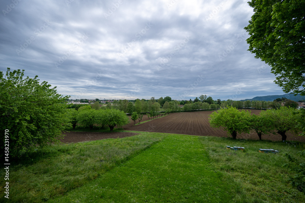 Villa La Rotonda, Villa palladiana, Vicenza, Veneto, Italia.