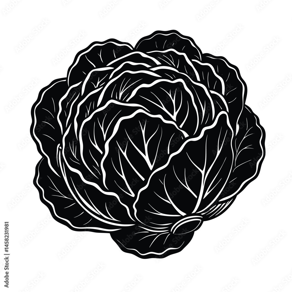Obraz premium a bunch cabbage vector art silhouette